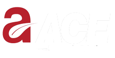 ACE Group Logo